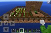 Minecraft Haus und Garten