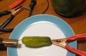 Electric Pickle Lampe