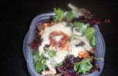 Wie erstelle ich einen leckeren macht Salat - ich habe es bei laufenTechshop Detroit gemacht! 