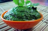 Gesunde & köstlichen grünen indischen Chutney (Dip)
