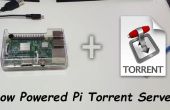 DIY-Raspberry Pi Torrent-Server