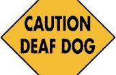 Ein vibrierender Deaf Anrufer Hundehalsband  
