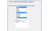 Python-Programmierung-GUI - Liste Box Demo