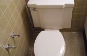 Entfernen eine Toilette; Home Verbesserung
