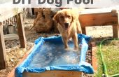 DIY-Hund Pool