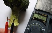 Umweltfreundlichste Energie auf der Erde - Gemüse-Batterie (MEDELIS Batterie grün)