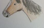 Gewusst wie: zeichnen Sie ein Pferdegesicht