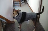 Steve den Hund und seinen Pullover