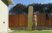 Alaia Holz Surfboard