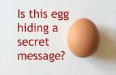 Das Geheimnis hinter dem Geheimbotschaft Ei