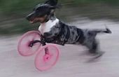 Kleine Front-Leg Hund Rollstuhl