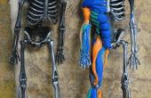 Muskel-Anatomie mit Sugru und ein Halloween-Skelett