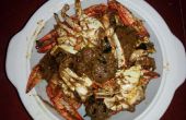 Wie scharf Krabbe Soße im Chettinad Stil kochen