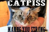 CATPISS - Ihre Katzen auf die Apokalypse vorbereiten