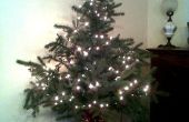 FREE Christmas Tree