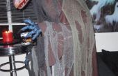 Dark Crystal Skeksis Costume