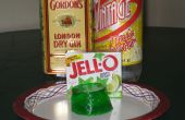 Gin und Tonic Jello Shots