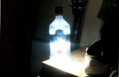 Wodka-Flasche-Lampe (mittels LEDs)