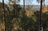 DIY Tree MANOR - Australia Day bereit