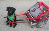 DIY Hund ziehen Wagen aus einen Klapp-Fahrrad-Anhänger gemacht. 