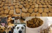 Mutt Cookies / aka Hundekuchen