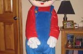 Epische Mario Costume