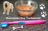 Hausgemachte Zahnpasta für Hunde! 