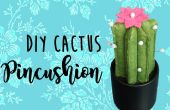 DIY Kaktus Nadelkissen! 