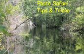 Foto-Safari Tricks & Tipps