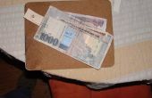 Die Fremdwährung Brieftasche