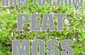 Wie Sie wachsen: Peat Moss