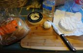 Brie und geröstetem Knoblauch schnelle und einfache Vorspeise gebacken