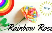 DIY-Rainbow Rose