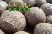 Guerilla Gartenarbeit - Bombardierung Stil
