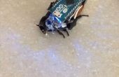 Steuern Sie eine Kakerlake mit Arduino für unter $30
