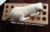 Eine Spielzeug für Ihre Katze aus Pappe zu machen