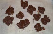 Schokolade-Schildkröte (Cousin Schokolade Schildkröten)