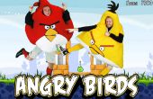 Hausgemachte Angry Birds Halloweenkostüme! 