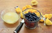 Blueberry Lemonade Smoothie