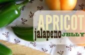 Stichwörter Aprikose Jalapeno Marmelade + Freebie