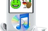 RIP kopieren geschützt (und ungeschützte) DVDs auf Ihrem Computer bzw. iPod/MP4-Player