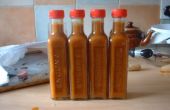 Geröstete Paprika-Sauce (Originalrezept)