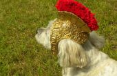 Römischer Gladiator Helm für Hunde