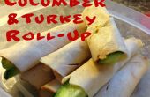 Türkei-Gurke Roll-Up