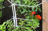 Gewusst wie: Machen Tomaten Leitern aus der IKEA-Salvia-Gitter