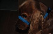 Paracord Hundehalsband, Halti Kragen