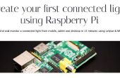 Raspberry Pi. Erstellen Sie Ihre erste verbunden Licht