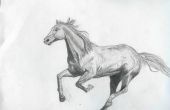 Gewusst wie: zeichnen Sie ein Pferd