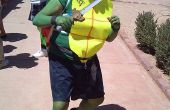 Einfach Ninja Turtle Kostüm! 