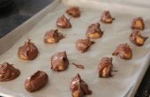 Schokolade bedeckt Erdnussbutter-Kugeln